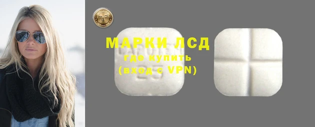 мяу мяу мука Няндома