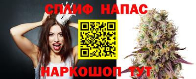 mdma Аргун