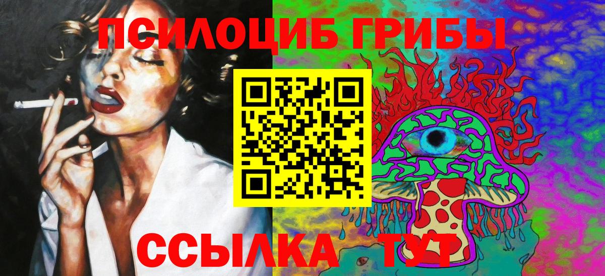 Галлюциногенные грибы прущие грибы Кинель