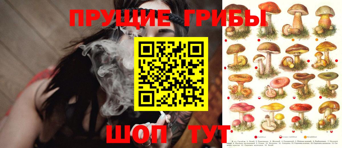 Галлюциногенные грибы GOLDEN TEACHER Кинель