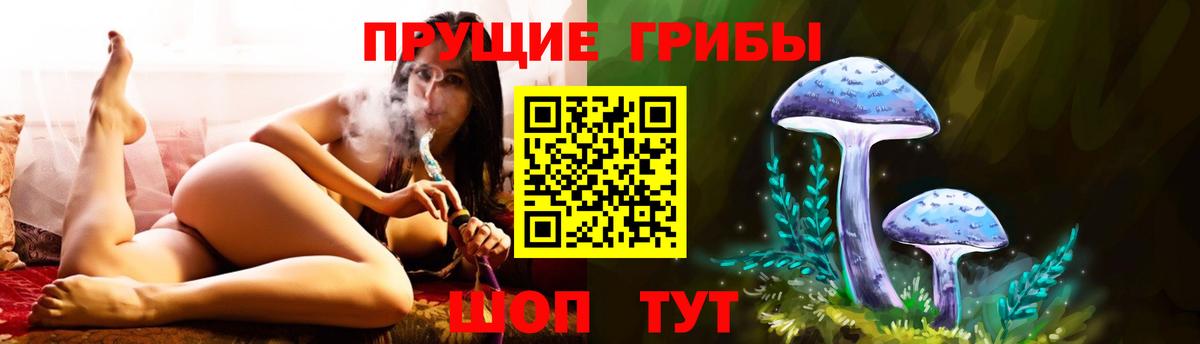 Кинель  Псилоцибиновые грибы Magic Shrooms  Галлюциногенные грибы мухоморы  Вход с VPN 